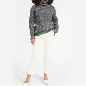 Everlane Chunky Knit Turtleneck